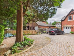 Photo 2- click for photo gallery